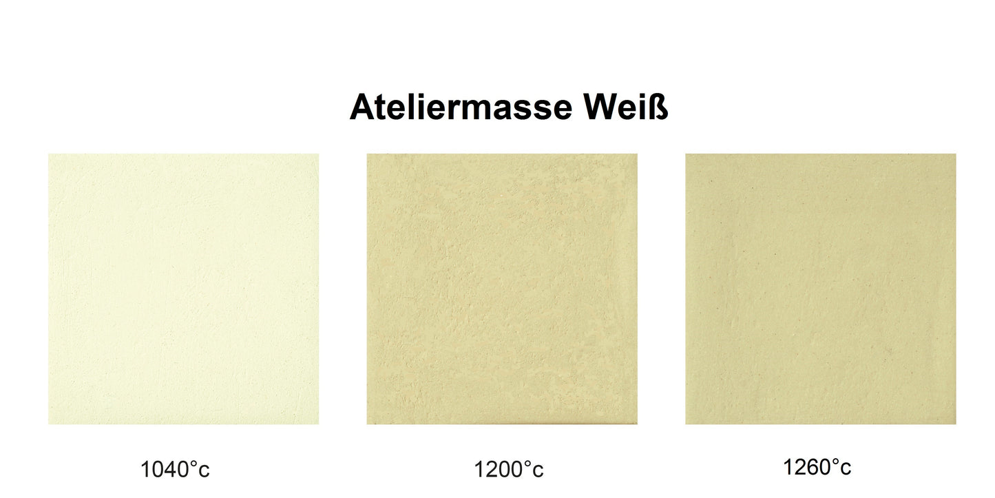 Atelier W - White Stoneware Clay 10Kg Bag