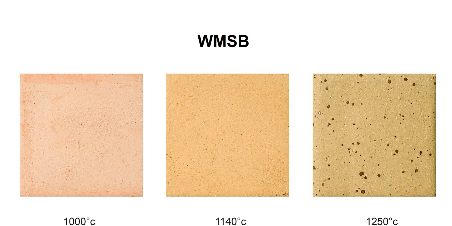 WMSB - Warm Mid-Fire Spotted Buff Clay - 10kg